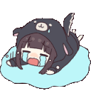 MiniheraDogFloorSlam