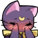 catto_shy catto_shy