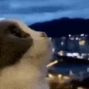 Wowie