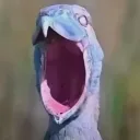 aaa