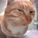 sideeye