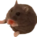 Ham_Sit