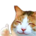 cat_thumbsup