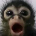 0_