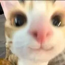 emoji_456