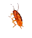 emoji_24 emoji_24