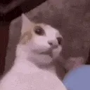 shocked