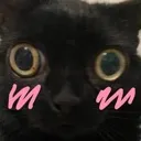 blushcatKS Discord Emoji