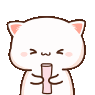 ilycatKS