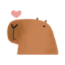 carry_cappy