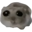 oksimpOh