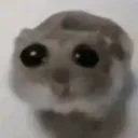 lostmouse