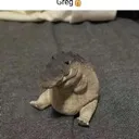 Greg