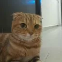 AkwardMimi
