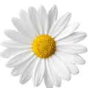054