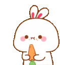CD_Bunny_noms