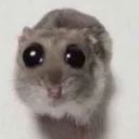bugeyed