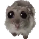 eu