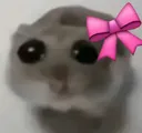 sadhamster2