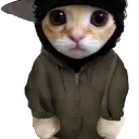 Catthug Discord Emoji