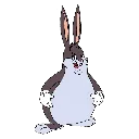 BigChungus