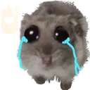 mucandle