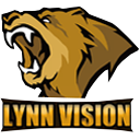 team_LynnVision Discord emoji