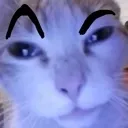 334