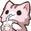 SipCat