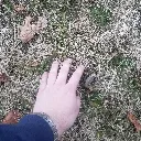 tgrass tgrass