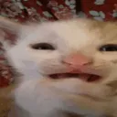 AHHHHHH