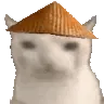 SupremeCat