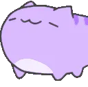 CatNodd