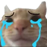 ninicry