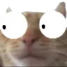 niniguh niniguh