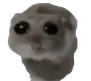 sadhampter sadhampter