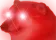 FL_Kya_bola