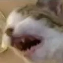 HHHFUHDJSIIJSBSJCICBGJSKAGAJAAAH