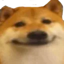DogSmile DogSmile