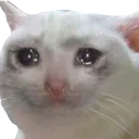 HUsad2 Discord Emoji