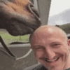 horselickylick