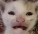 scared