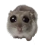 hamsterPwease