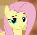 fluttershy