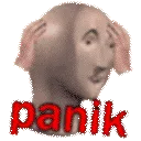 panik