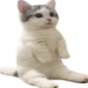 sitandstare