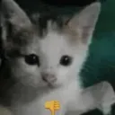 emoji_4 emoji_4