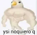 ySInoquiero