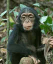 eating