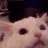 :3_screamcat: 3_screamcat